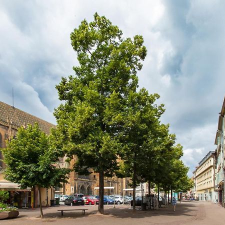 Le Griffon Apartment Colmar Exterior photo
